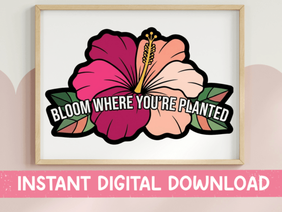 Bloom Where You’re Planted Hibiscus: A Designer’s Review