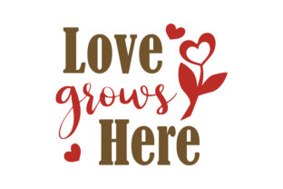 Love Grows Here: A Designer’s Practical Review