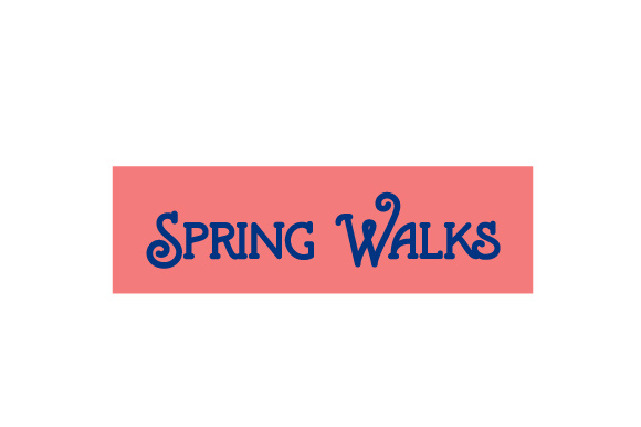 Scrapbooking Quote Spring Walks: A Designerβs Real-World Review